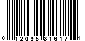 012095316171