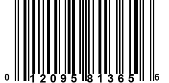 012095813656