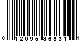 012095868311