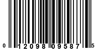 012098095875