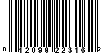 012098223162