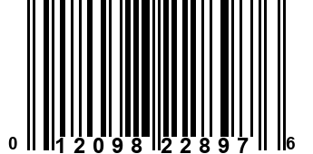 012098228976