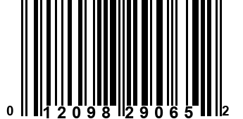 012098290652