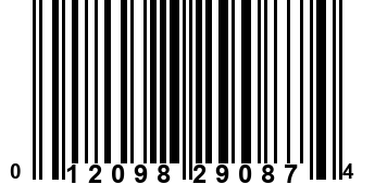 012098290874