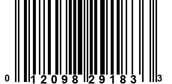 012098291833