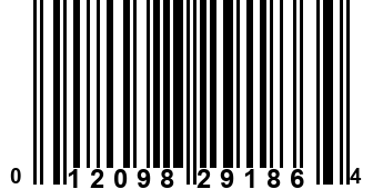 012098291864