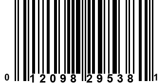 012098295381