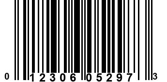 012306052973