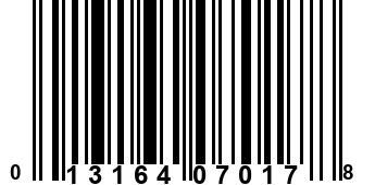 013164070178