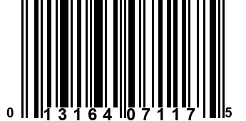 013164071175