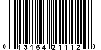 013164211120