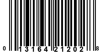 013164212028