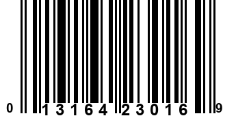 013164230169