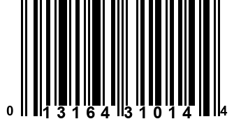 013164310144