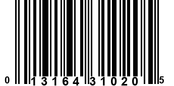 013164310205