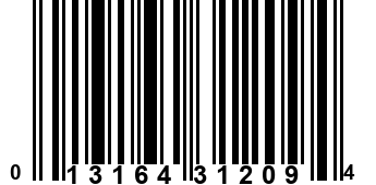 013164312094