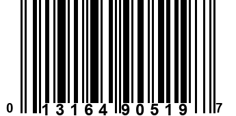 013164905197