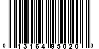 013164950203