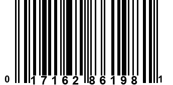 017162861981