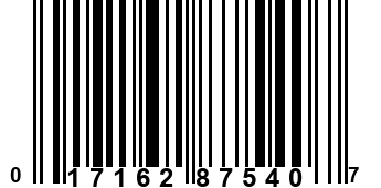 017162875407