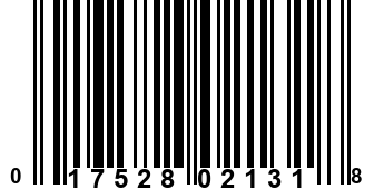 017528021318