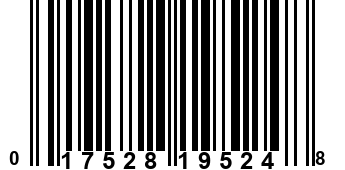 017528195248