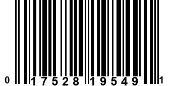 017528195491