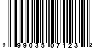 999035071232