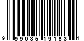 999035191831