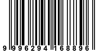 9996294168896