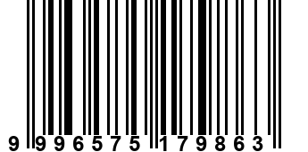 9996575179863