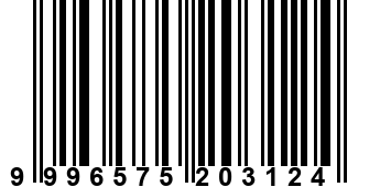 9996575203124