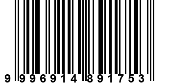 9996914891753