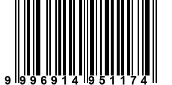 9996914951174