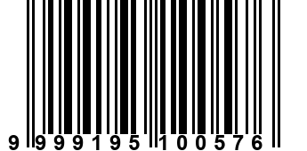 9999195100576