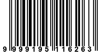 9999195116263