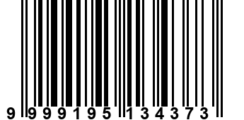 9999195134373