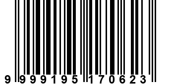 9999195170623
