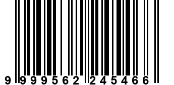 9999562245466
