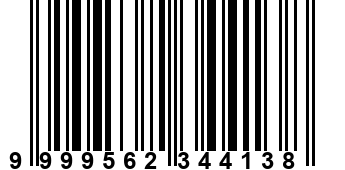 9999562344138
