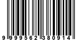 9999562380914