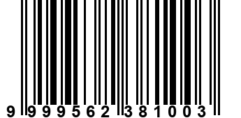 9999562381003