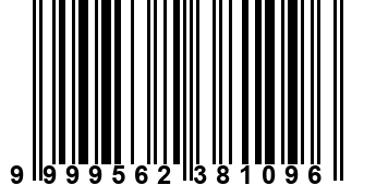 9999562381096