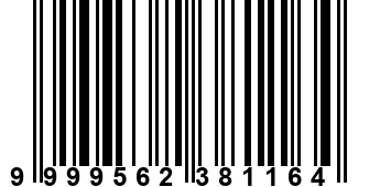 9999562381164