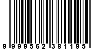 9999562381195