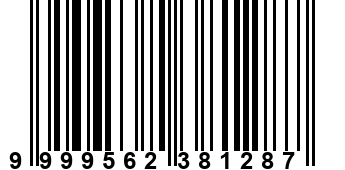 9999562381287