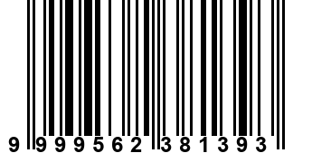 9999562381393