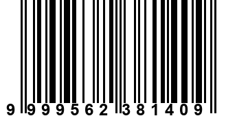 9999562381409