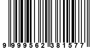 9999562381577