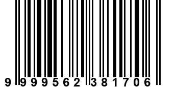 9999562381706